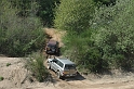 rass_2008 (88)